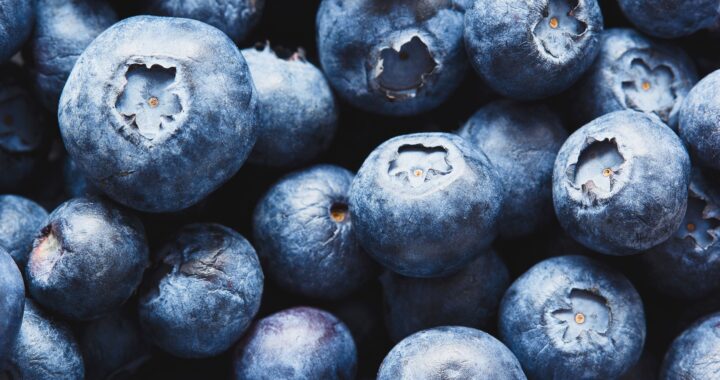 blueberries